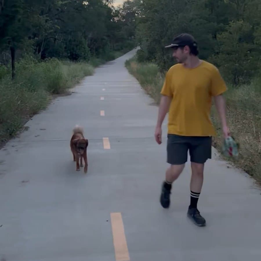 Pickles walking off leash down the Walnut Creek trail, staying right with her owner with no lead attached