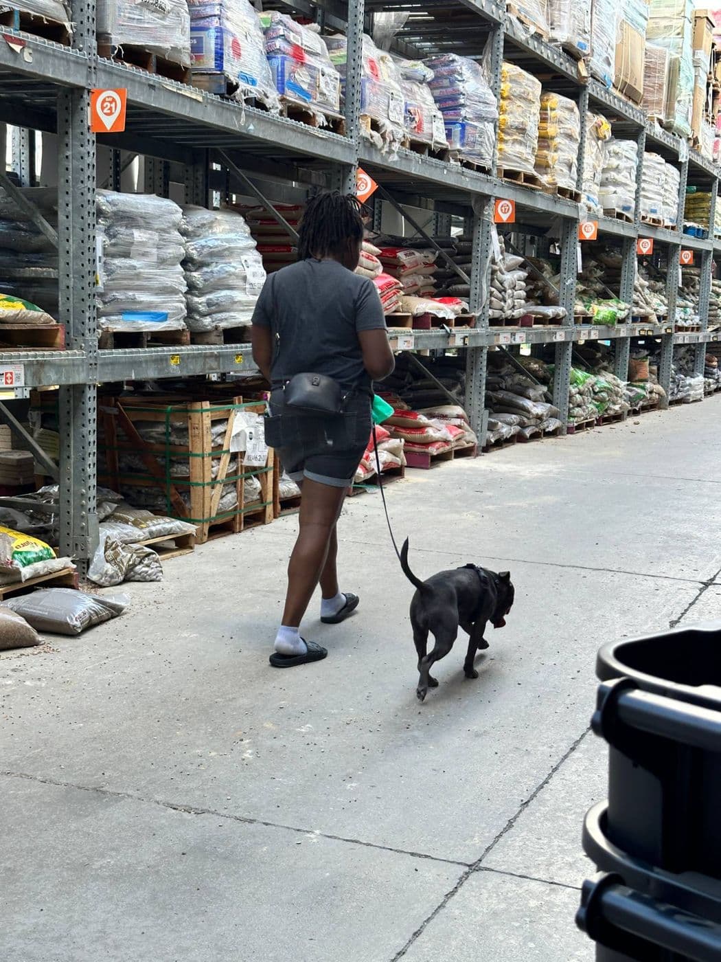 A client walking her dog on a loose leash down a busy Home Depot aisle, no pulling