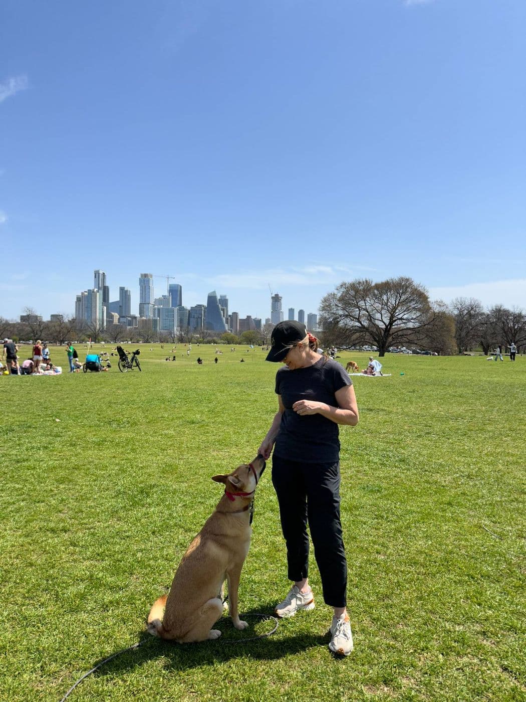 A tan dog holding a calm sit for a treat at Zilker Park with the Austin skyline behind