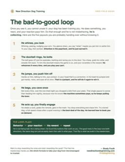 The bad-to-good loop guide