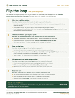 Flip the loop guide