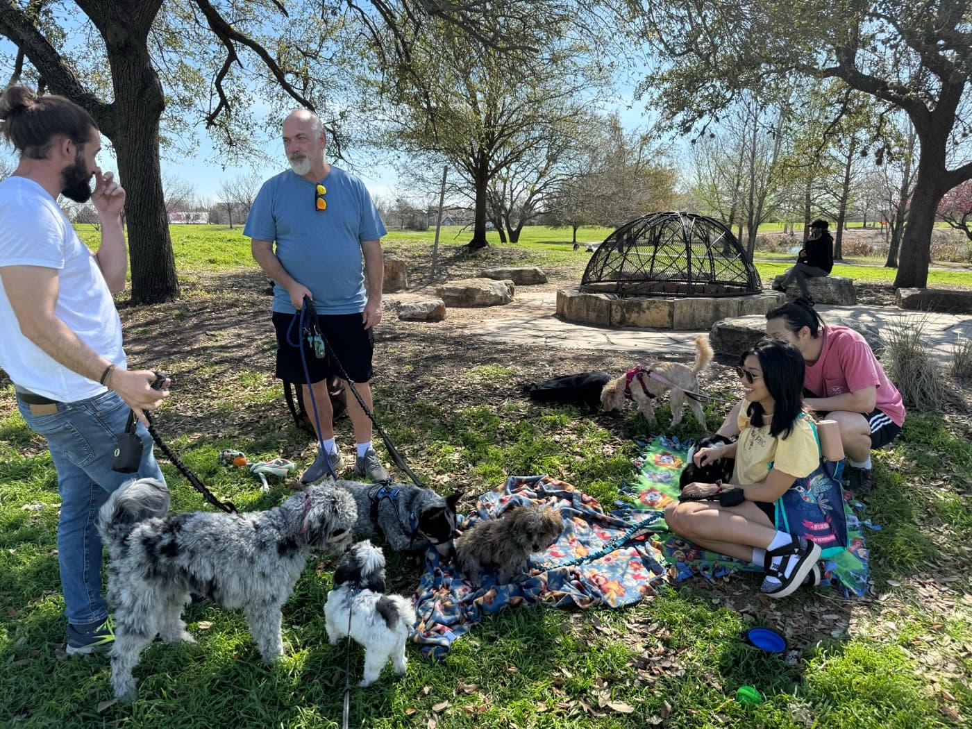 Brady coaching a group of owners and their dogs at an outdoor park session