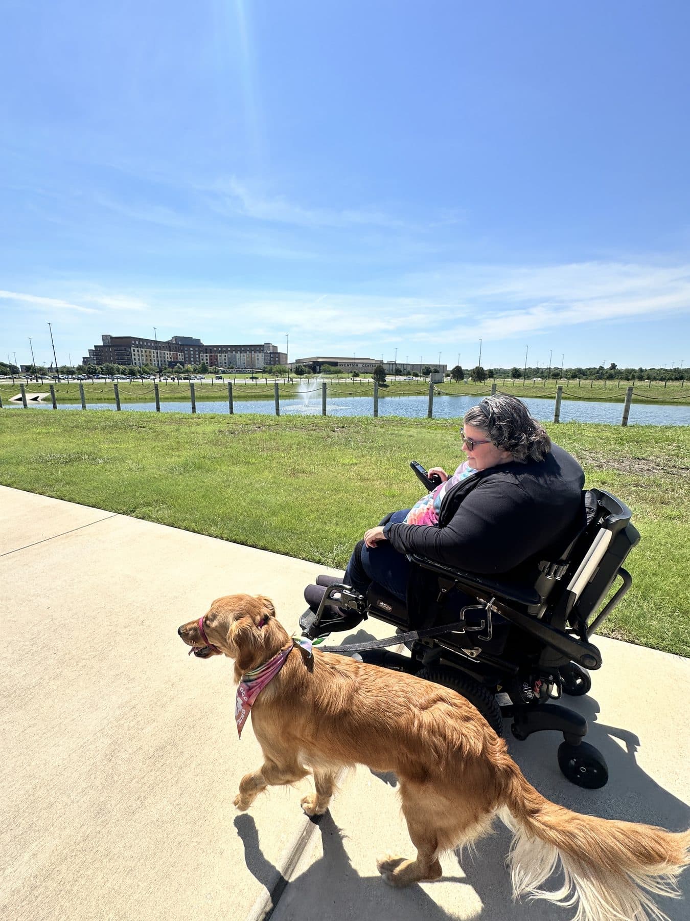 A golden retriever service dog walking at heel beside their handler