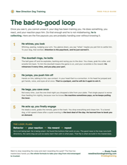 The bad-to-good loop guide