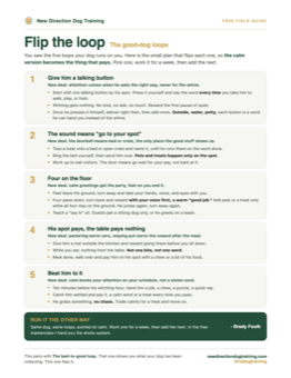 Flip the loop guide
